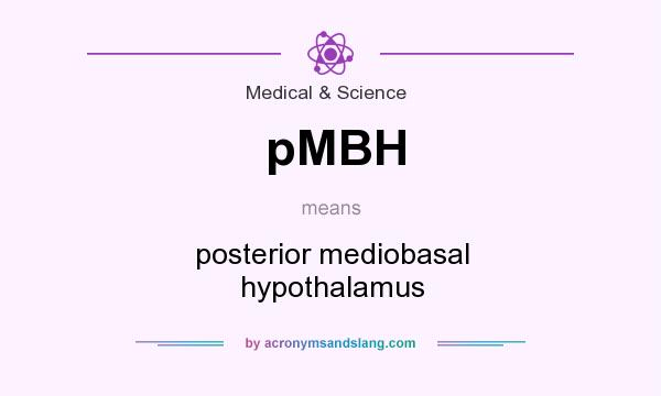 What does pMBH mean? It stands for posterior mediobasal hypothalamus