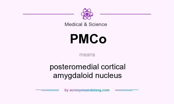 What does PMCo mean? It stands for posteromedial cortical amygdaloid nucleus