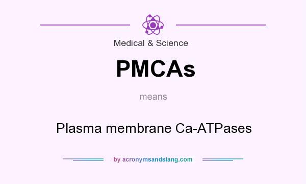 What does PMCAs mean? It stands for Plasma membrane Ca-ATPases