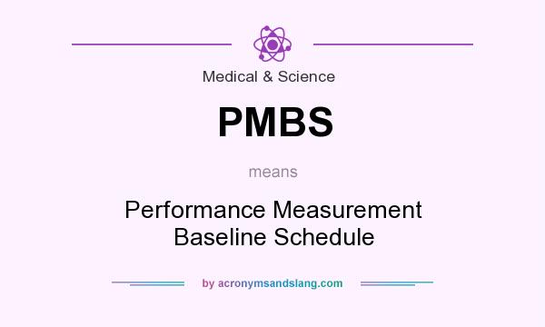 What does PMBS mean? It stands for Performance Measurement Baseline Schedule