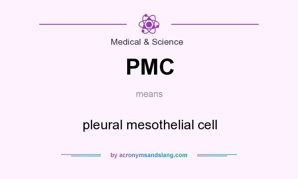 What does PMC mean? It stands for pleural mesothelial cell