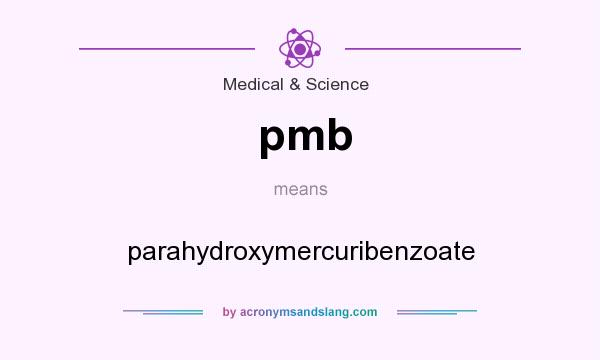 What does pmb mean? It stands for parahydroxymercuribenzoate