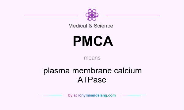 What does PMCA mean? It stands for plasma membrane calcium ATPase