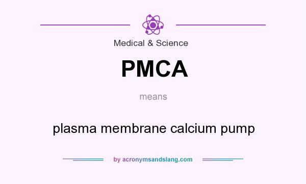 What does PMCA mean? It stands for plasma membrane calcium pump