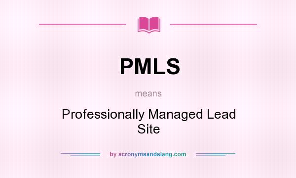 What does PMLS mean? It stands for Professionally Managed Lead Site