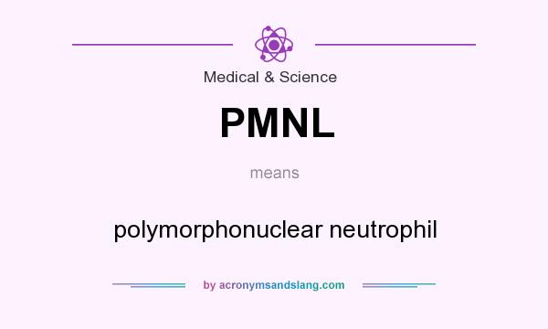 What does PMNL mean? It stands for polymorphonuclear neutrophil