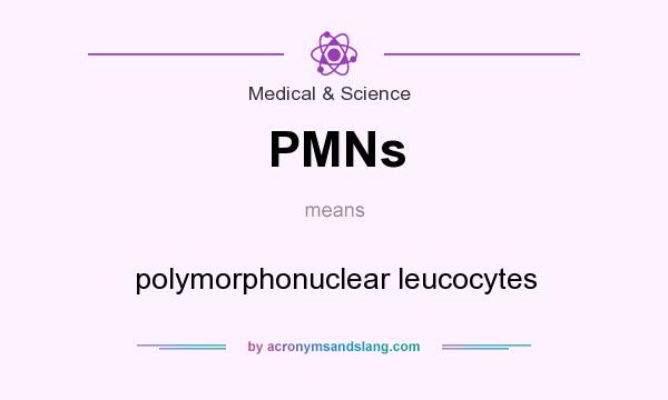 What does PMNs mean? It stands for polymorphonuclear leucocytes