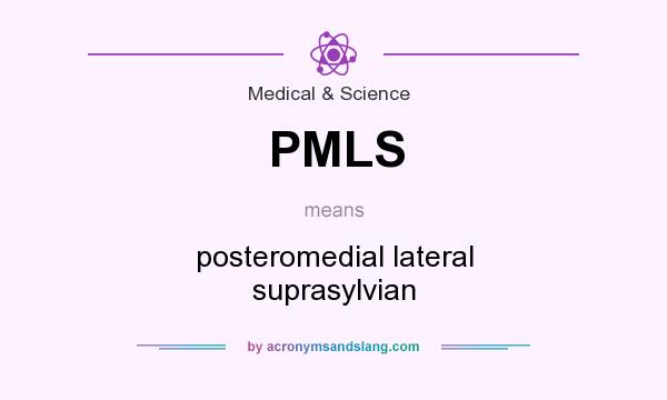 What does PMLS mean? It stands for posteromedial lateral suprasylvian