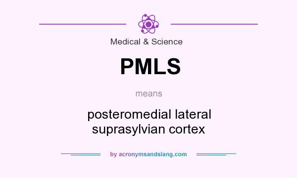 What does PMLS mean? It stands for posteromedial lateral suprasylvian cortex