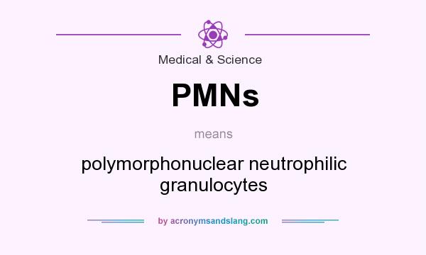 What does PMNs mean? It stands for polymorphonuclear neutrophilic granulocytes