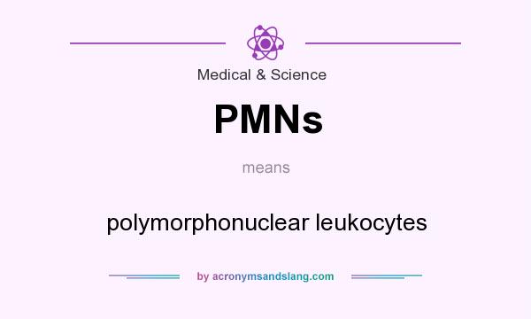 What does PMNs mean? It stands for polymorphonuclear leukocytes