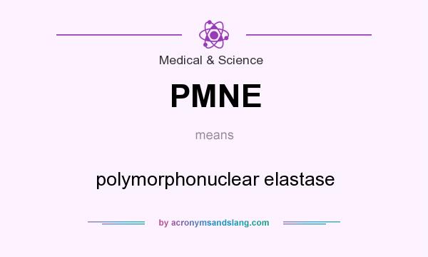 What does PMNE mean? It stands for polymorphonuclear elastase