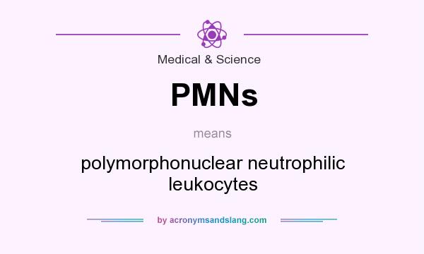 What does PMNs mean? It stands for polymorphonuclear neutrophilic leukocytes