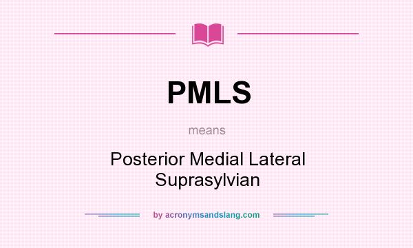 What does PMLS mean? It stands for Posterior Medial Lateral Suprasylvian