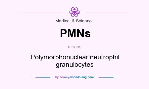 What does PMNs mean? It stands for Polymorphonuclear neutrophil granulocytes