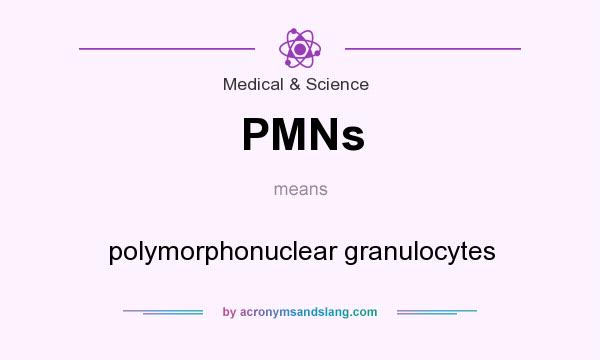What does PMNs mean? It stands for polymorphonuclear granulocytes