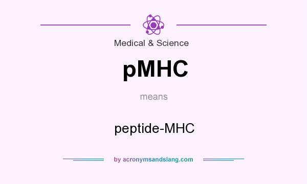 What does pMHC mean? It stands for peptide-MHC