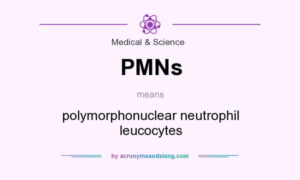 What does PMNs mean? It stands for polymorphonuclear neutrophil leucocytes