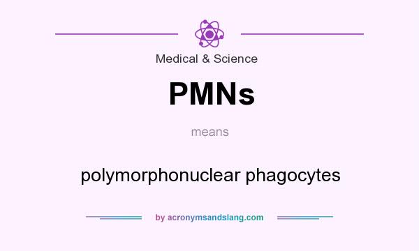 What does PMNs mean? It stands for polymorphonuclear phagocytes