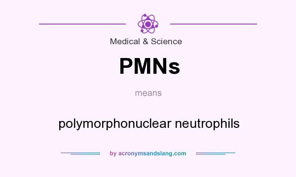 What does PMNs mean? It stands for polymorphonuclear neutrophils