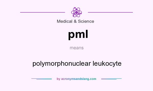 What does pml mean? It stands for polymorphonuclear leukocyte