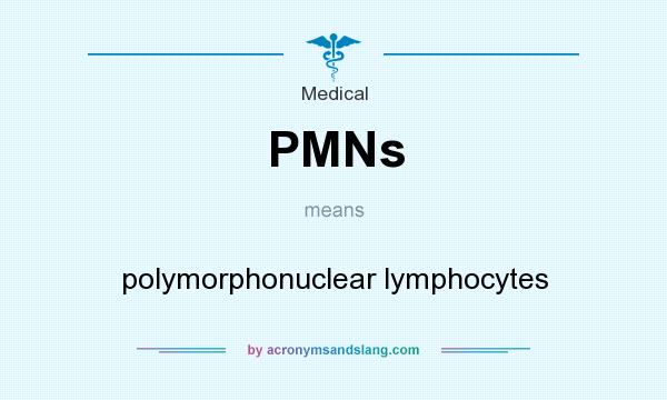 What does PMNs mean? It stands for polymorphonuclear lymphocytes