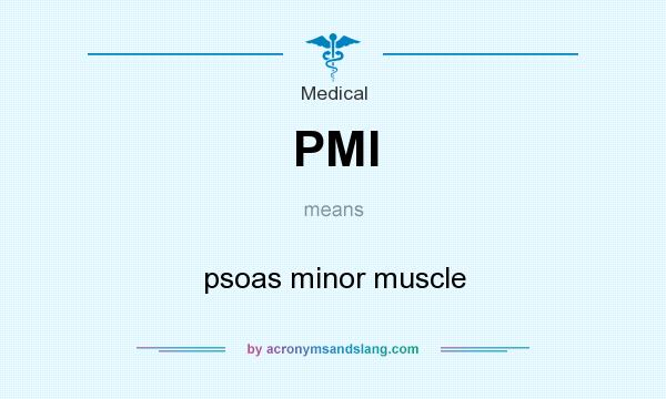 What does PMI mean? It stands for psoas minor muscle