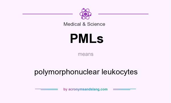 What does PMLs mean? It stands for polymorphonuclear leukocytes