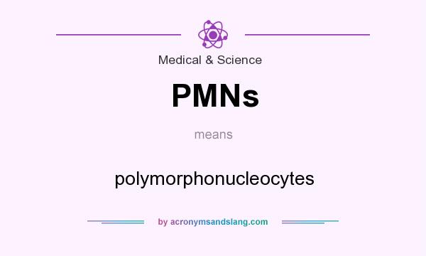 What does PMNs mean? It stands for polymorphonucleocytes
