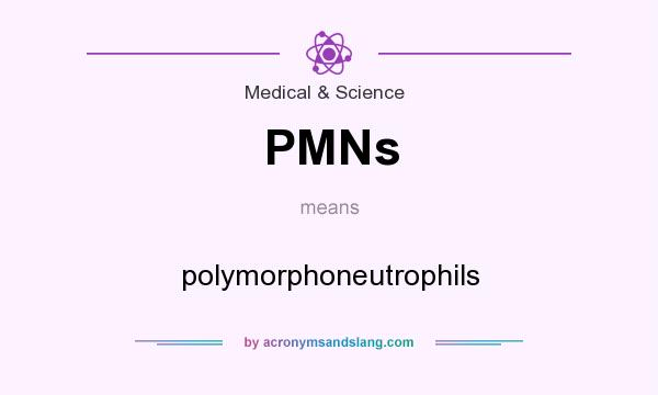 What does PMNs mean? It stands for polymorphoneutrophils