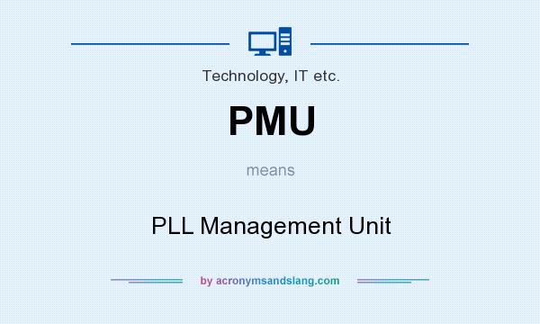 What does PMU mean? It stands for PLL Management Unit
