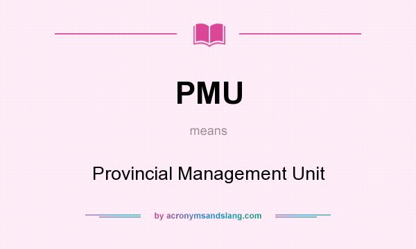 What does PMU mean? It stands for Provincial Management Unit