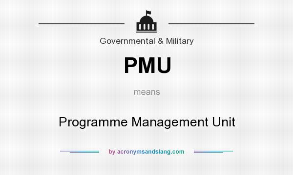 What does PMU mean? It stands for Programme Management Unit