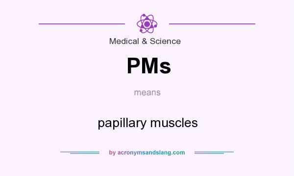 What does PMs mean? It stands for papillary muscles