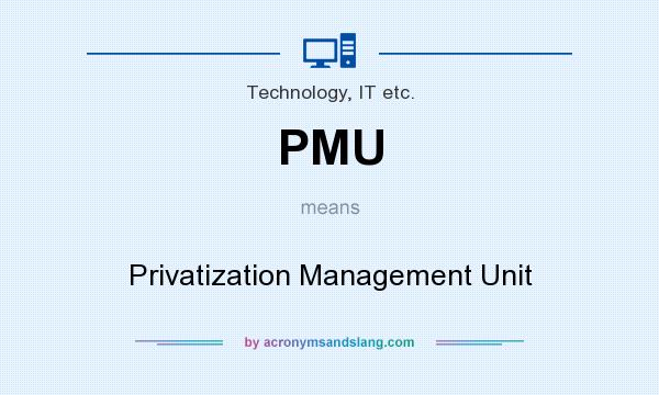 What does PMU mean? It stands for Privatization Management Unit