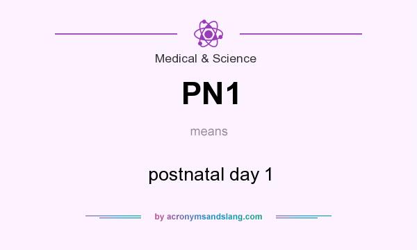 What does PN1 mean? It stands for postnatal day 1