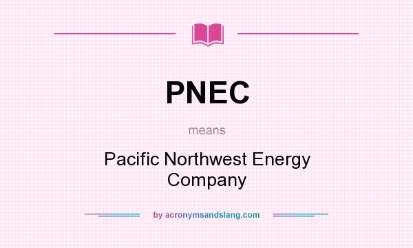 What does PNEC mean? It stands for Pacific Northwest Energy Company