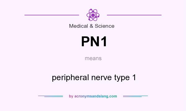 What does PN1 mean? It stands for peripheral nerve type 1