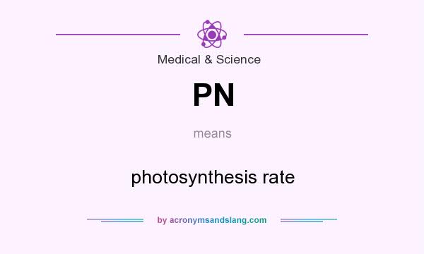 What does PN mean? It stands for photosynthesis rate
