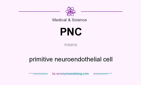 What does PNC mean? It stands for primitive neuroendothelial cell