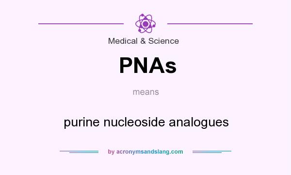 What does PNAs mean? It stands for purine nucleoside analogues