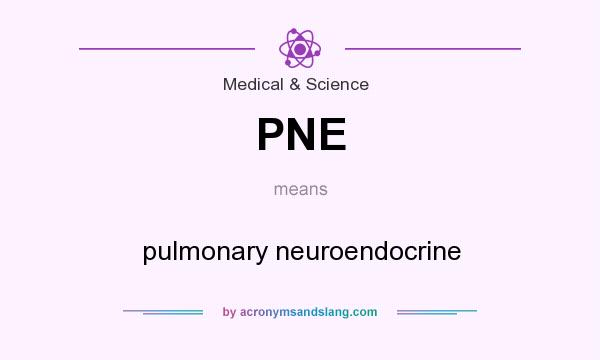 What does PNE mean? It stands for pulmonary neuroendocrine