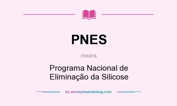 What does PNES mean? It stands for Programa Nacional de Eliminação da Silicose