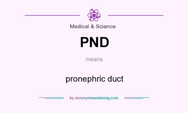 What does PND mean? It stands for pronephric duct