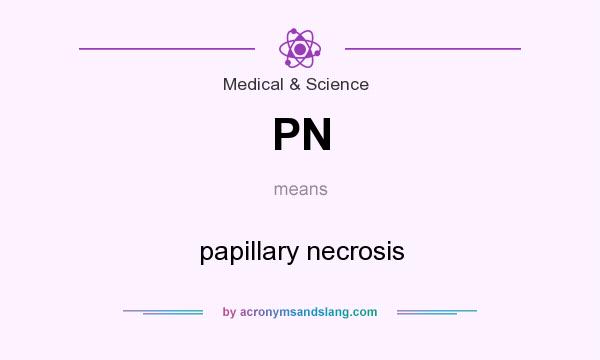 What does PN mean? It stands for papillary necrosis