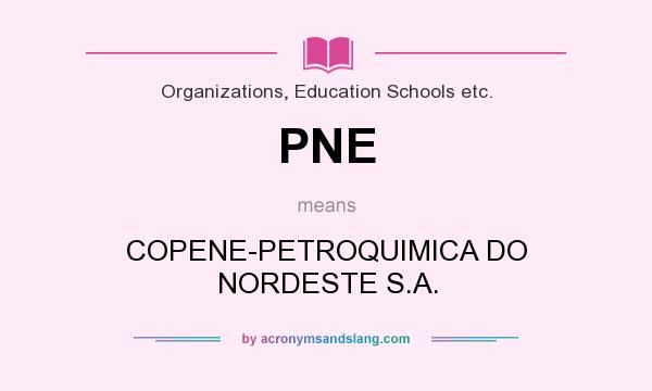 What does PNE mean? It stands for COPENE-PETROQUIMICA DO NORDESTE S.A.