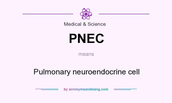 What does PNEC mean? It stands for Pulmonary neuroendocrine cell