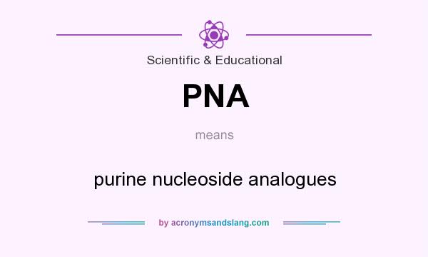 What does PNA mean? It stands for purine nucleoside analogues