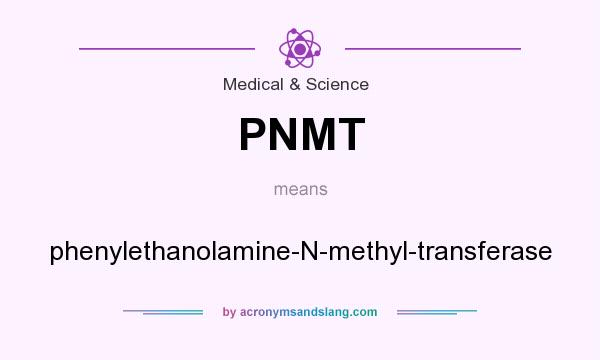 What does PNMT mean? It stands for phenylethanolamine-N-methyl-transferase