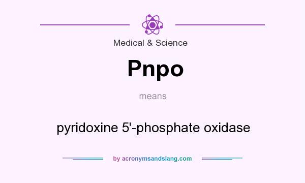 What does Pnpo mean? It stands for pyridoxine 5`-phosphate oxidase